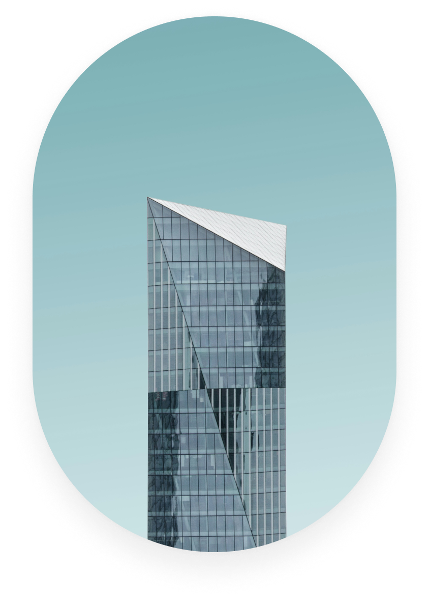 main animation