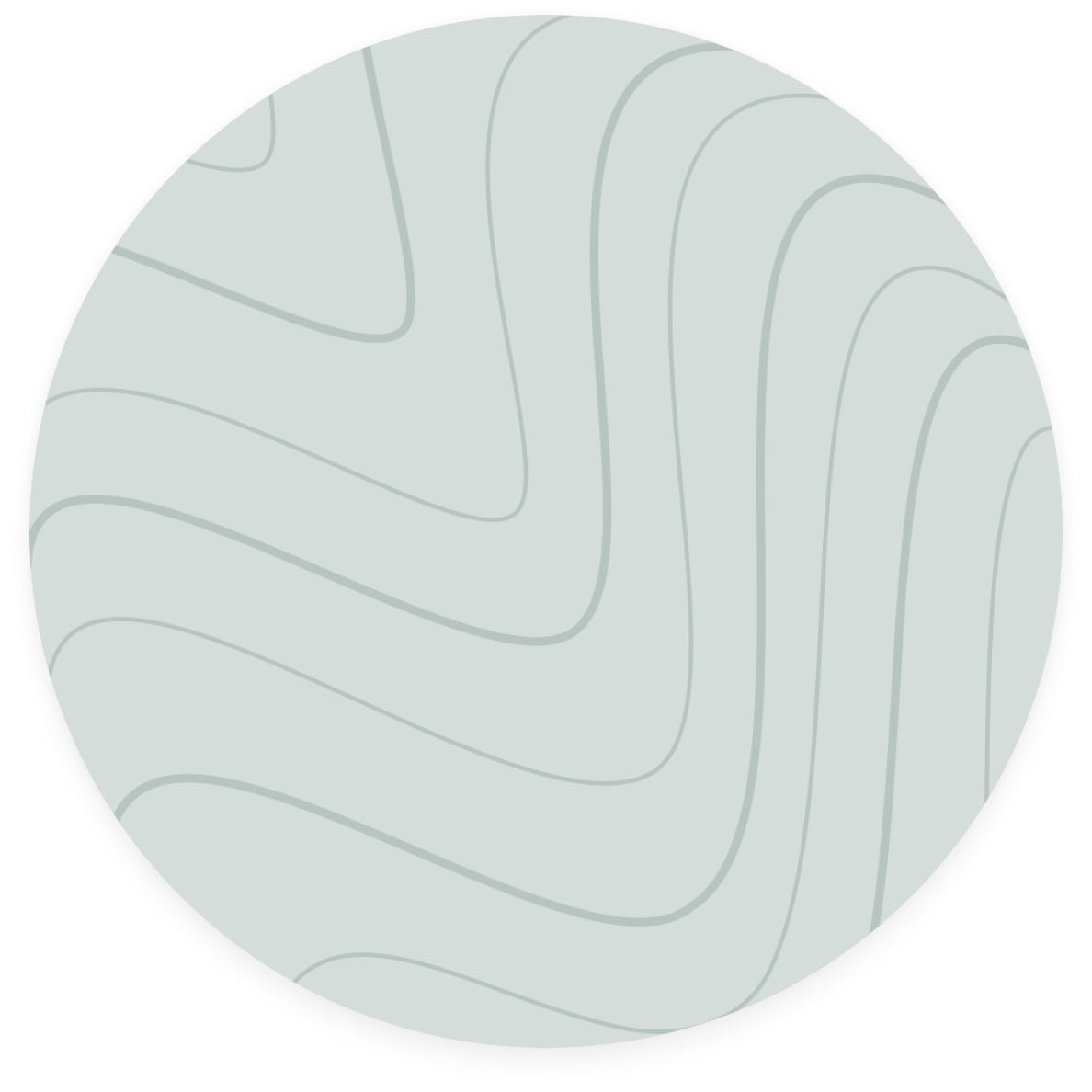 main animation